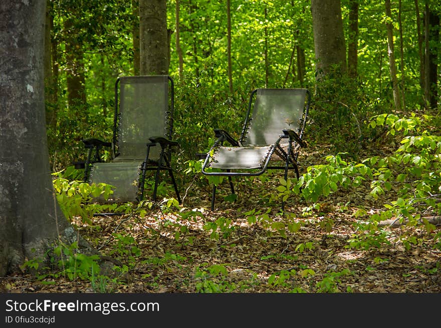 Fountainhead Regional Park, Virginia, USA. Fountainhead Regional Park, Virginia, USA