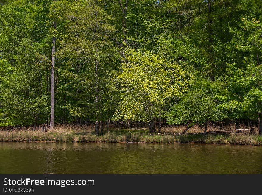 Fountainhead Regional Park, Virginia, USA. Fountainhead Regional Park, Virginia, USA