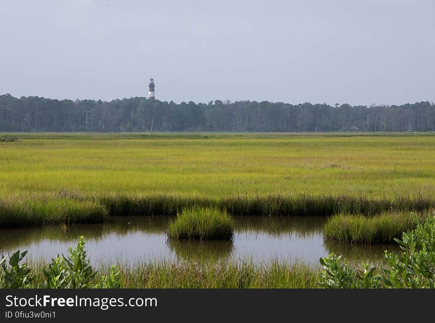 Chincoteague, VA, USA. Chincoteague, VA, USA