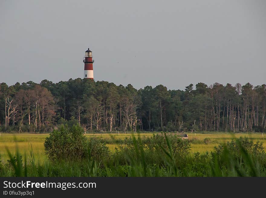 Chincoteague, VA, USA. Chincoteague, VA, USA