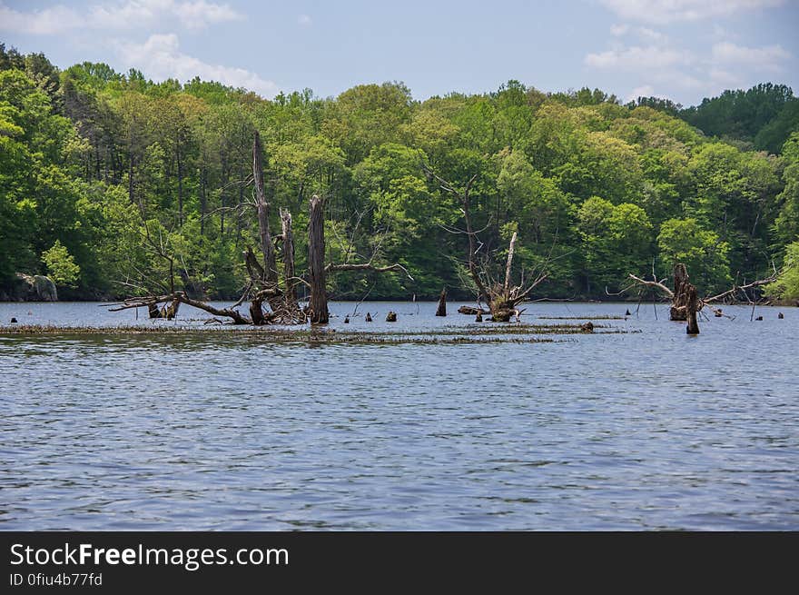 Fountainhead Regional Park, Virginia, USA. Fountainhead Regional Park, Virginia, USA