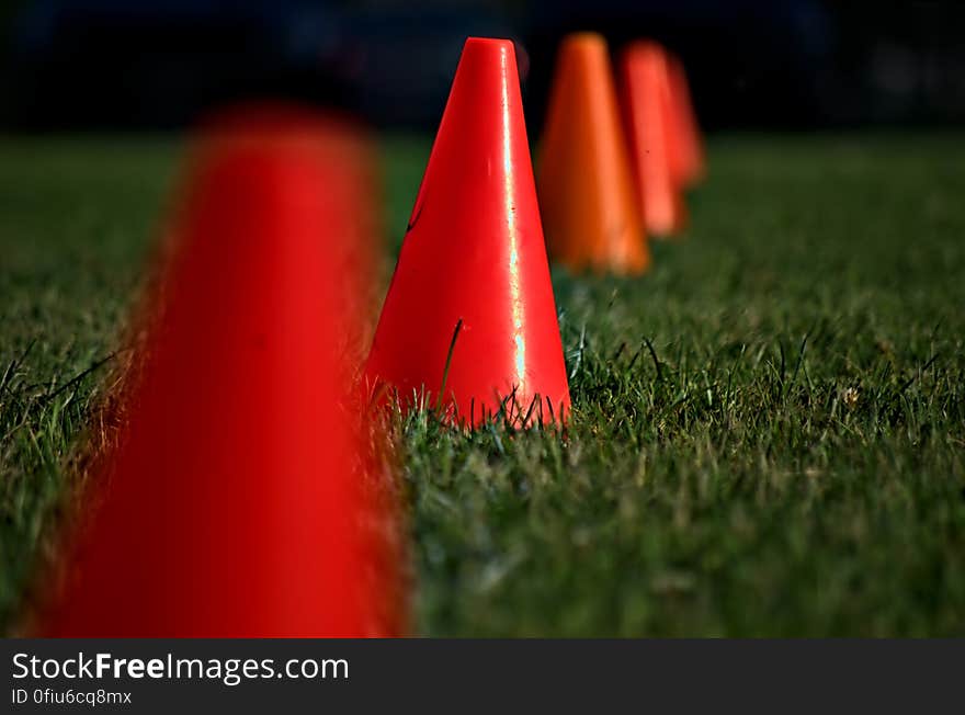 Odd that we line up so well at the grocery store, at the cinema and even at the DMV, yet we do so poorly on the road. Oh to be a cone.