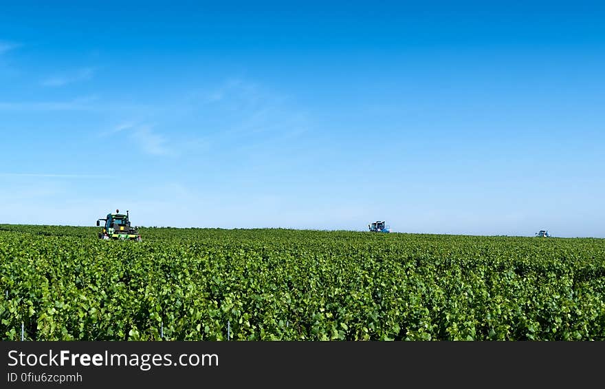 These machines trim the grass that grows between the rows of vines in the vineyards of of Moet & Chandon in Verzenay, Champagne, France. This is a photo from 2011 taken with my LX3. These machines trim the grass that grows between the rows of vines in the vineyards of of Moet & Chandon in Verzenay, Champagne, France. This is a photo from 2011 taken with my LX3.