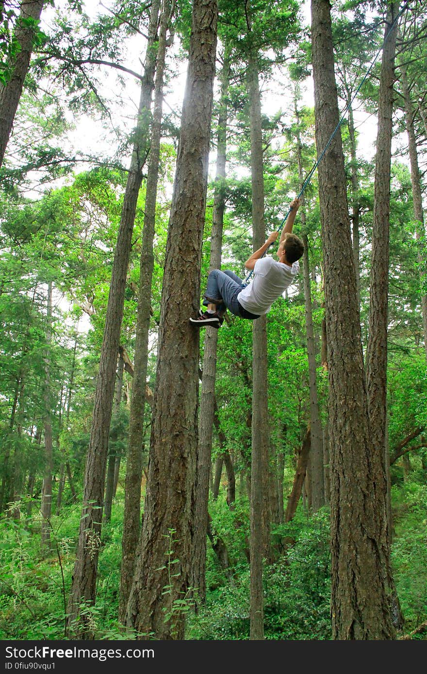 Plant, Tree, Terrestrial plant, Trunk, People in nature, Wood