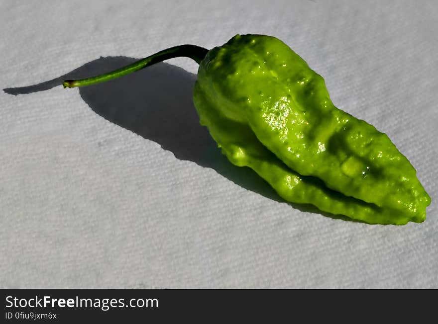 Although there are four main seasons in the year, there are also sub-seasons. It is now pepper season! This year&#x27;s pepper crop has been unusually bountiful. Fresh jalapenos have been adding a crunchy and delicious zing to just about every meal. This week, the bhut jolokia peppers have begun to ripen! Pepper season is one of my favourite seasons of the year. This somewhat deform bhut jolokia made wonderful addition to tonight&#x27;s pasta! I am now strongly looking forward to tomorrow&#x27;s breakfast... ...and lunch... ... and mid afternoon snack... . Although there are four main seasons in the year, there are also sub-seasons. It is now pepper season! This year&#x27;s pepper crop has been unusually bountiful. Fresh jalapenos have been adding a crunchy and delicious zing to just about every meal. This week, the bhut jolokia peppers have begun to ripen! Pepper season is one of my favourite seasons of the year. This somewhat deform bhut jolokia made wonderful addition to tonight&#x27;s pasta! I am now strongly looking forward to tomorrow&#x27;s breakfast... ...and lunch... ... and mid afternoon snack... ...