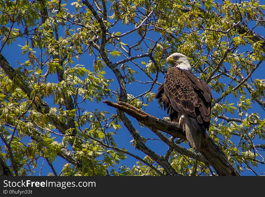 Fountainhead Regional Park, Virginia, USA. Fountainhead Regional Park, Virginia, USA