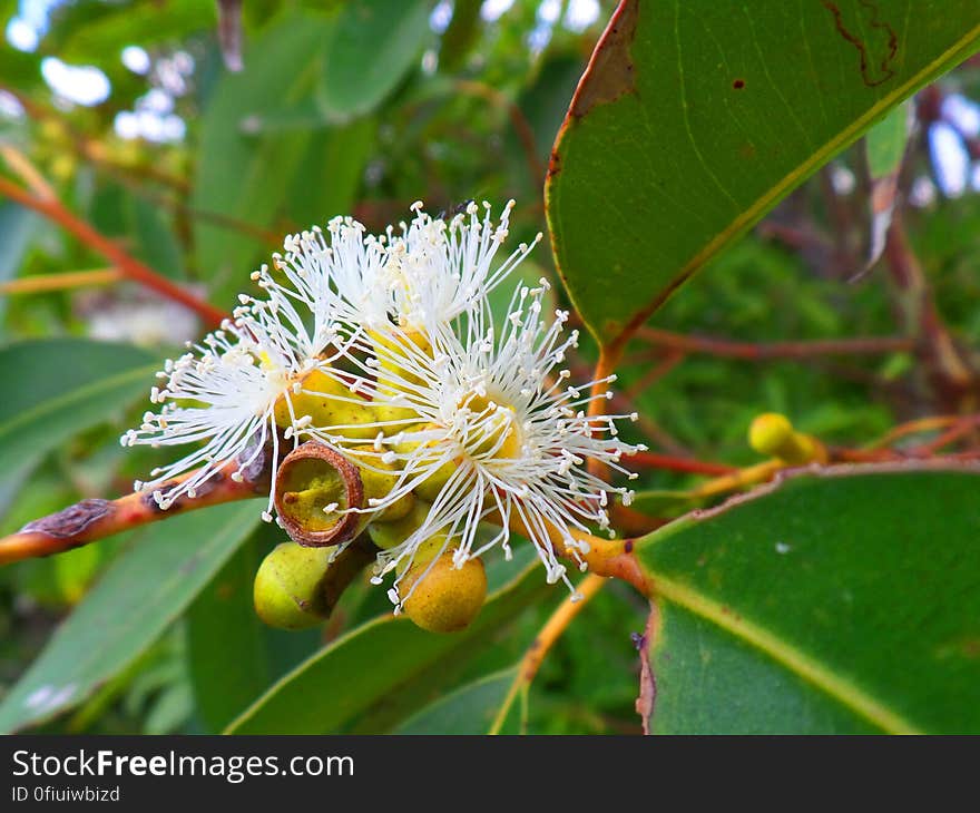 South Durras NSW Australia. South Durras NSW Australia