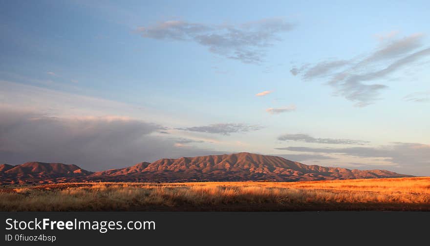 Brown Rocky Mountain