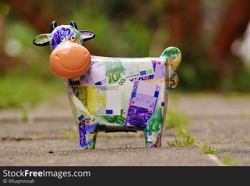 Banknote Cow on Gray Conncrete Road