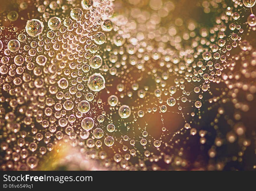 Macro view of dew drops on spiders web with golden background. Macro view of dew drops on spiders web with golden background.