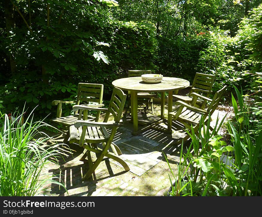 Plant, Plant community, Outdoor table, Outdoor furniture, Natural landscape, Terrestrial plant