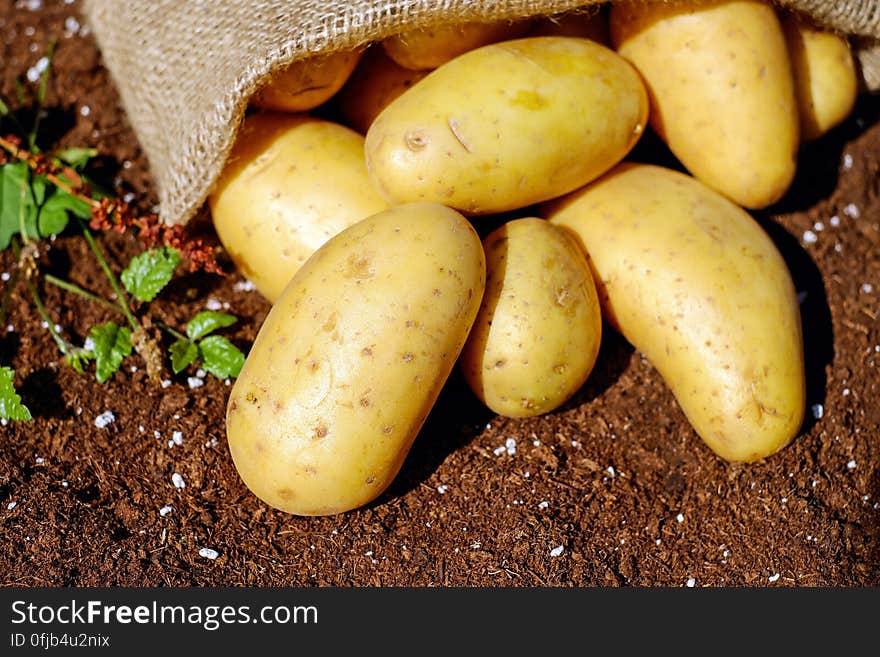 Potatoes