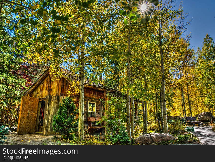 A house in the forest with green leaves in the trees. A house in the forest with green leaves in the trees.