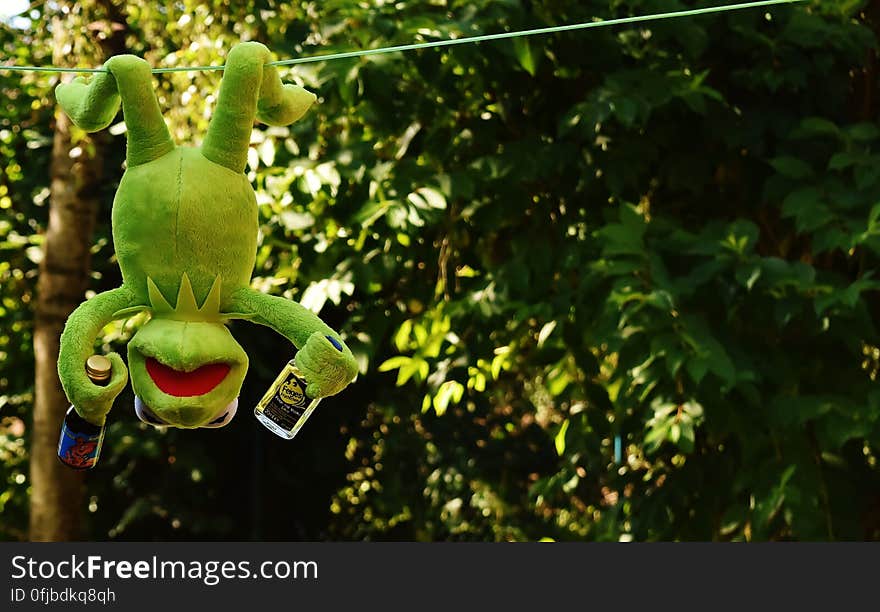 Kermit the Frog Hang on the Wire