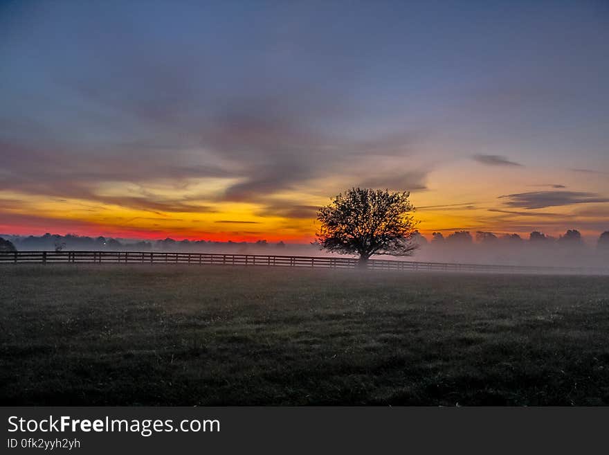 A misty meadow at dawn time.