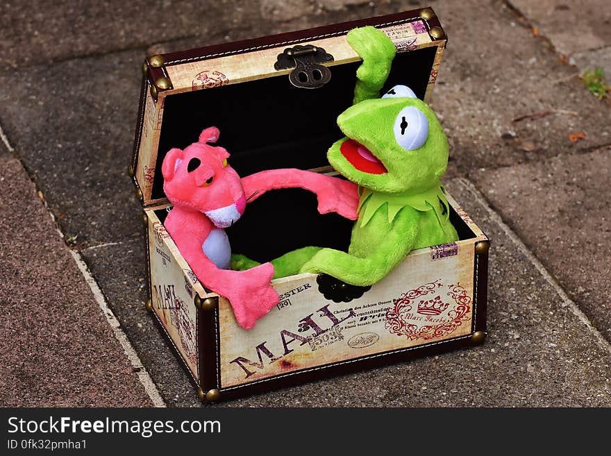 Pink Panther and Kermit the Frog