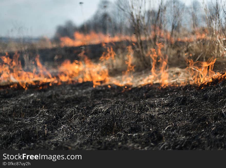 Early spring. Intentional burning of dry grass in the meadow. Wind fire spreads to neighboring areas. The damage to the environment. Ukraine. Early spring. Intentional burning of dry grass in the meadow. Wind fire spreads to neighboring areas. The damage to the environment. Ukraine.