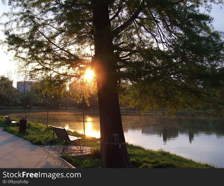 city-park-at-sunset