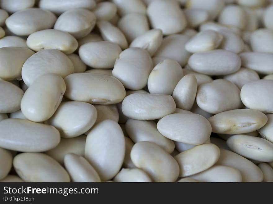 Common bean is rich in protein, starch and is a good source of iron, potassium, selenium, vitamin B6, and folic acid.