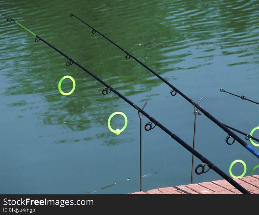 fishing-rods-on-lake