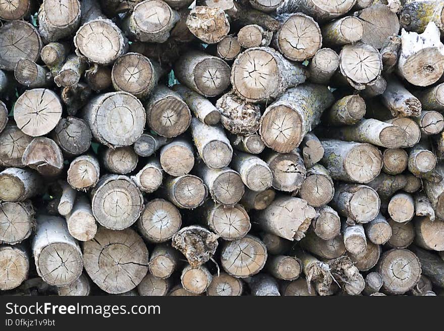 Chopped wood logs for winter heating. Chopped wood logs for winter heating