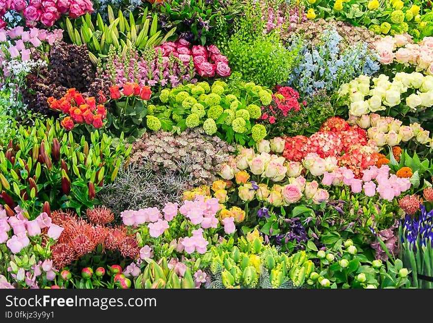 Spring flowers on display at a florist shop. Spring flowers on display at a florist shop