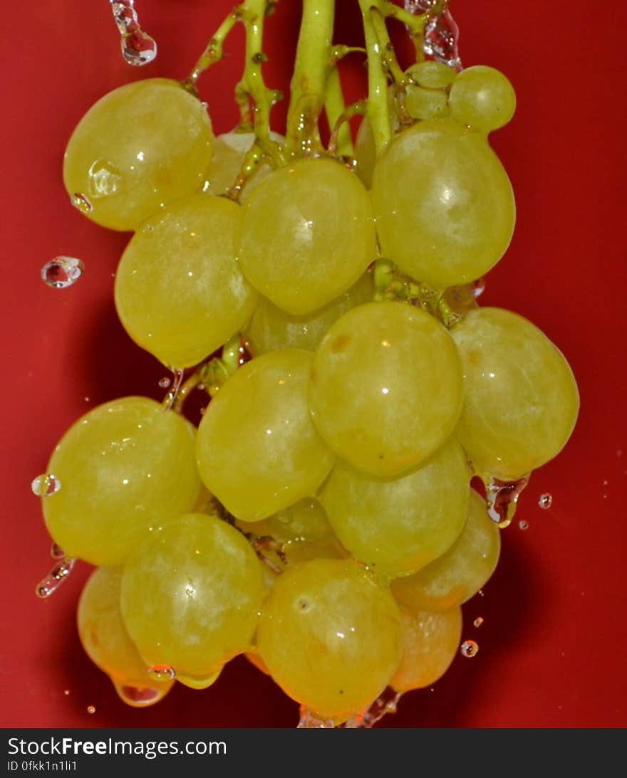 grape-cluster-under-water-stream