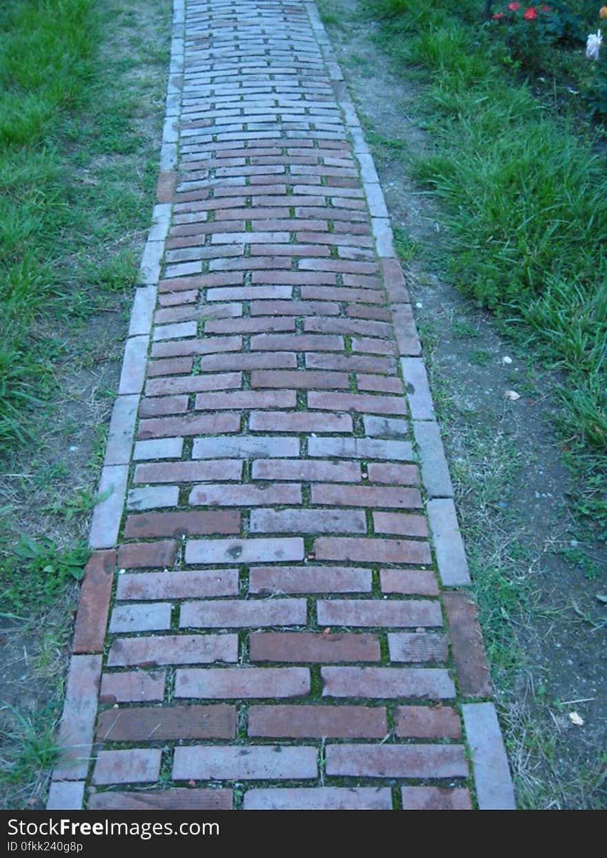 footh-path-in-the-botanical-garden