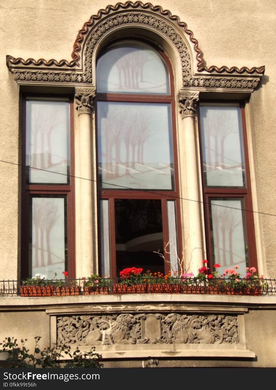 house-window-with-glass-tree-motif