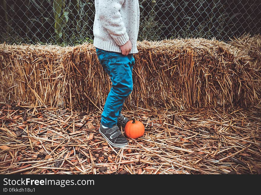 Boy (partial image) wearing white jumper, blue jeans and sneakers standing on straw threatening to kick a pumpkin, background of straw bales. Boy (partial image) wearing white jumper, blue jeans and sneakers standing on straw threatening to kick a pumpkin, background of straw bales.