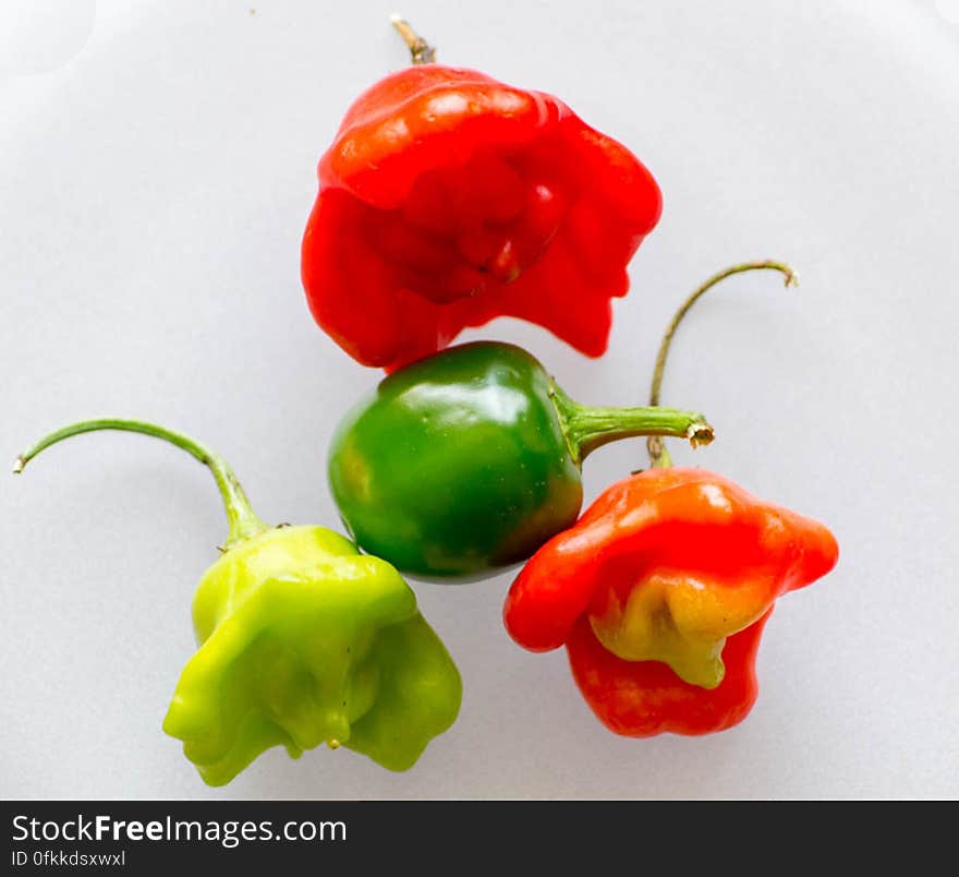 Different colors and shapes of chili mini peppers. Different colors and shapes of chili mini peppers.