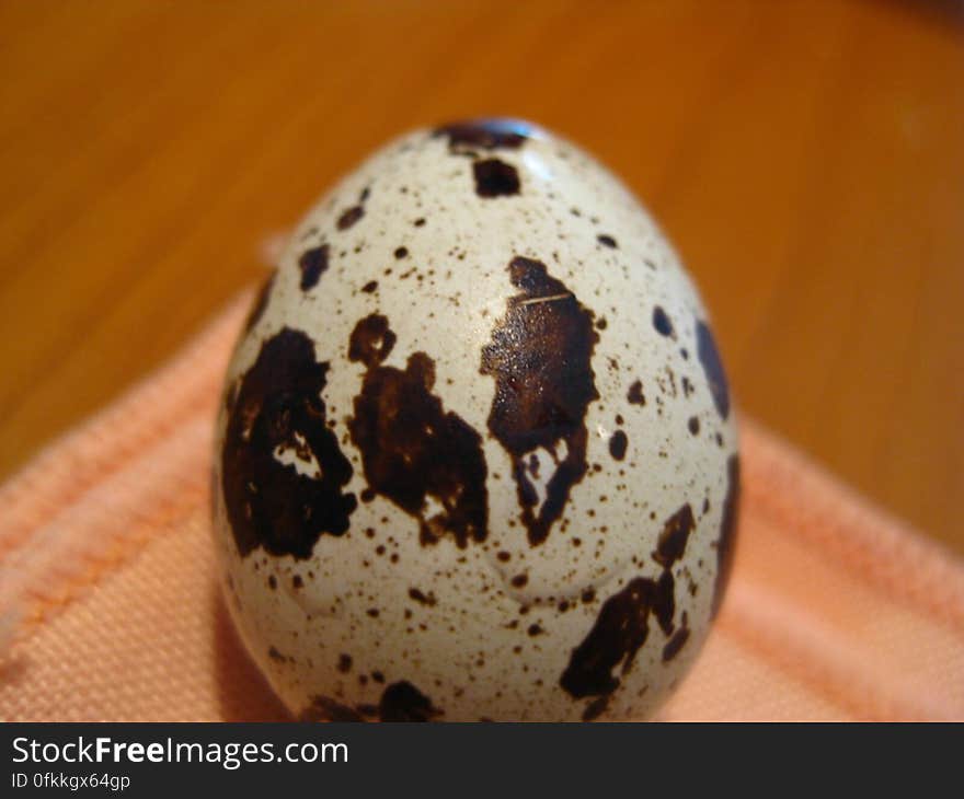 pattern-on-quail-egg-shell