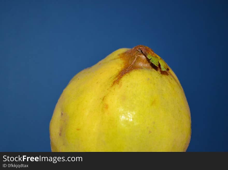 quince-against-navy-blue-background