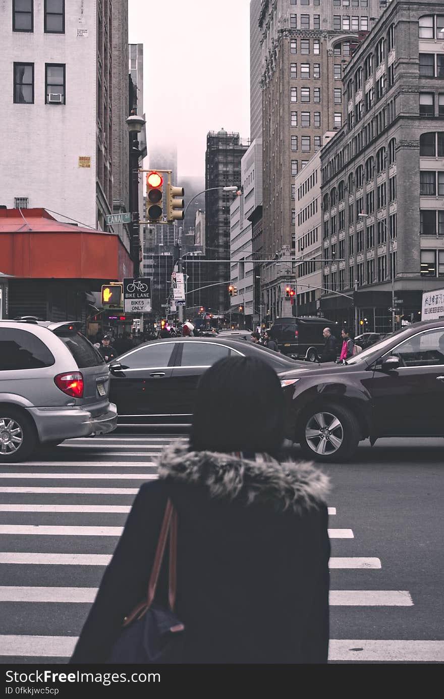 Woman in a black coat with fur collar waiting to cross a busy road at a zebra crossing with cars stopped on it and a background of city buildings and gray sky. Woman in a black coat with fur collar waiting to cross a busy road at a zebra crossing with cars stopped on it and a background of city buildings and gray sky.