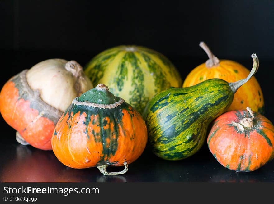 Brightly colored pumpkins and squashes primarily used for ornamental purposes.