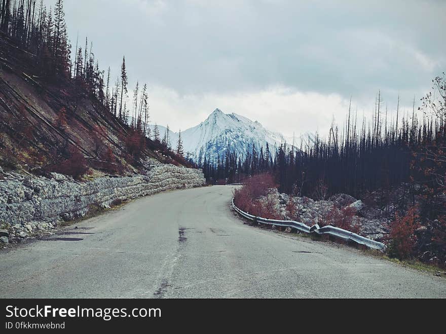 Scenic view of road through coniferous forest with snow capped mountain in background. Scenic view of road through coniferous forest with snow capped mountain in background.