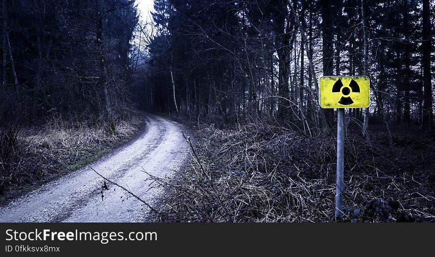 Radioactive hazard sign by track at side of forest. Radioactive hazard sign by track at side of forest.