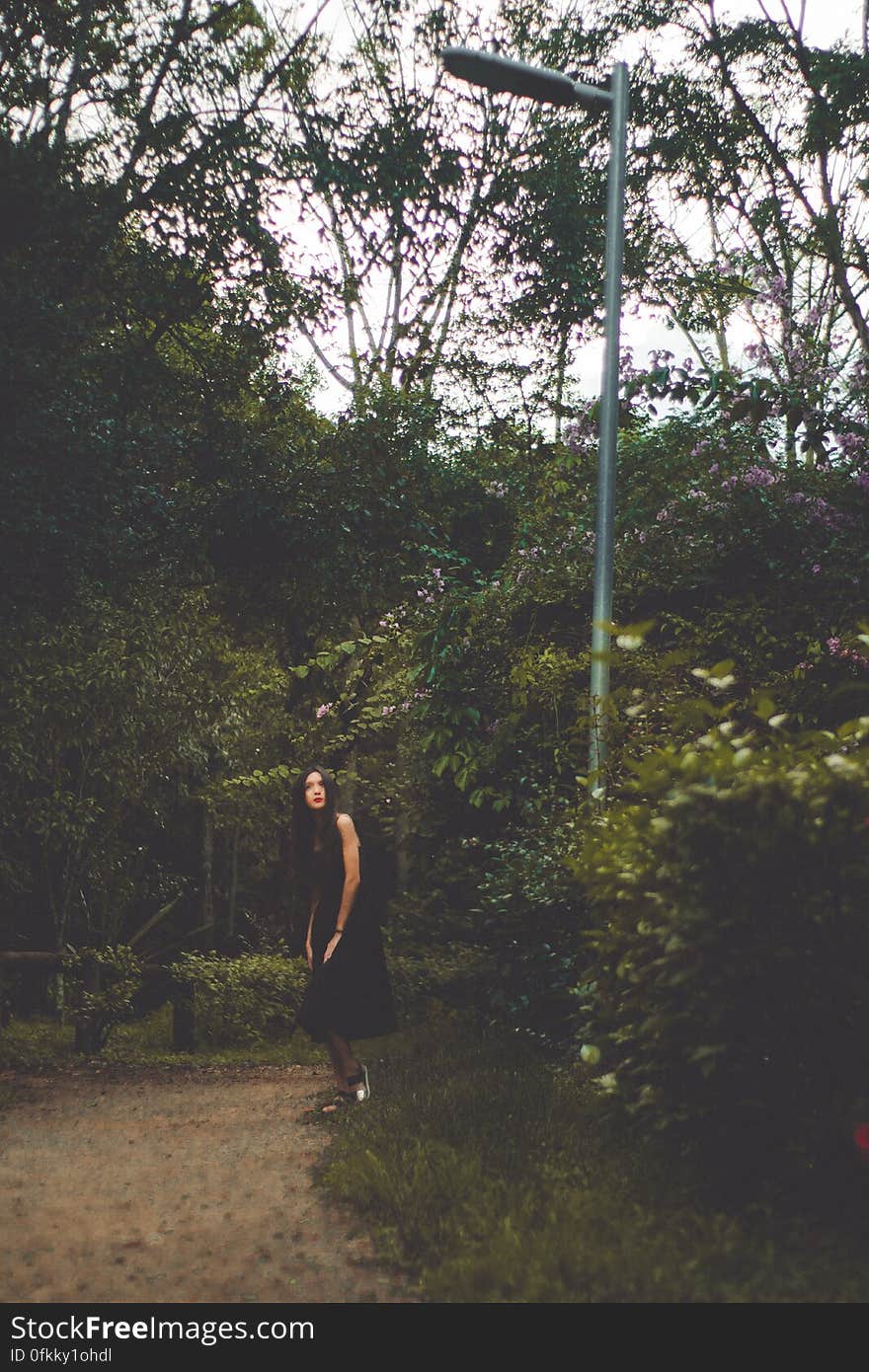 A girl walking in green park. A girl walking in green park.