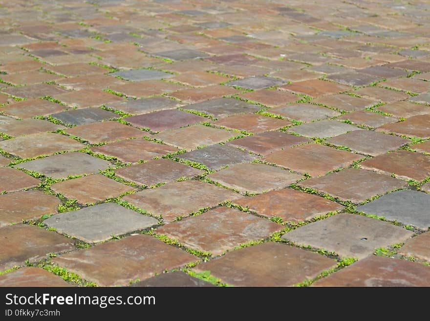 Fallen leaves between stones of town square pavement. Fallen leaves between stones of town square pavement.