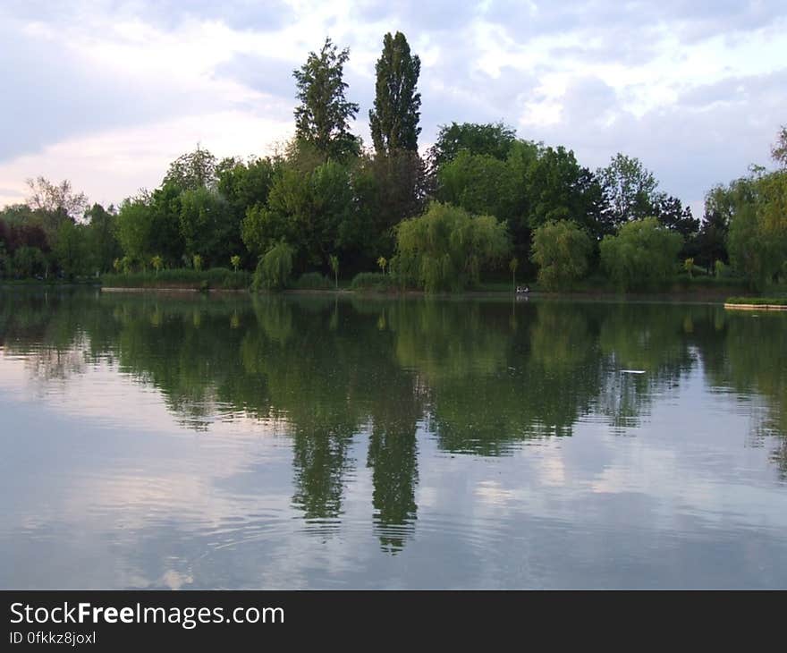 trees-mirroring-in-the-lake