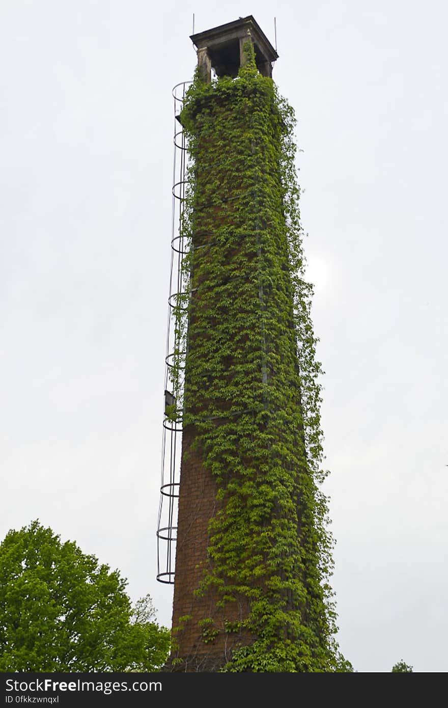 Vegetation covered chimney with metallic staircase.