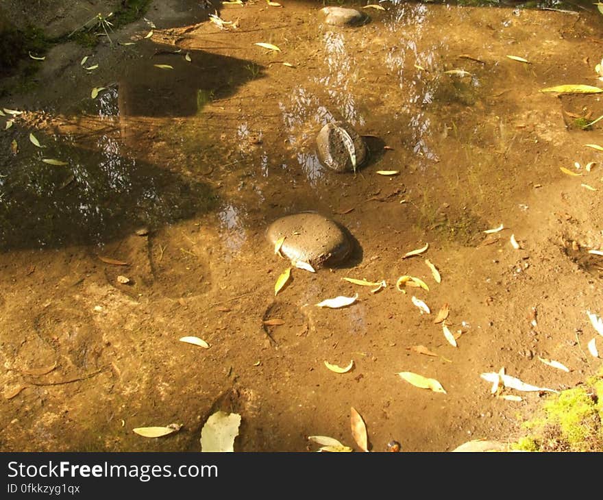 stones-in-shallow-water