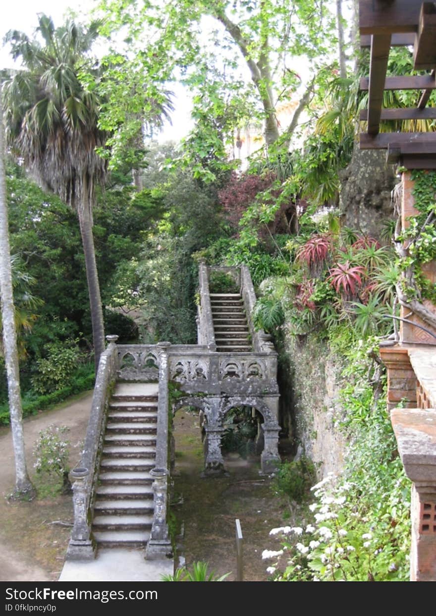 arabic-style-stairway-found-in-monserrate-gardens-