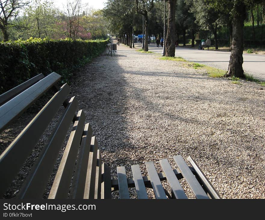 bench-in-villa-borghese-park