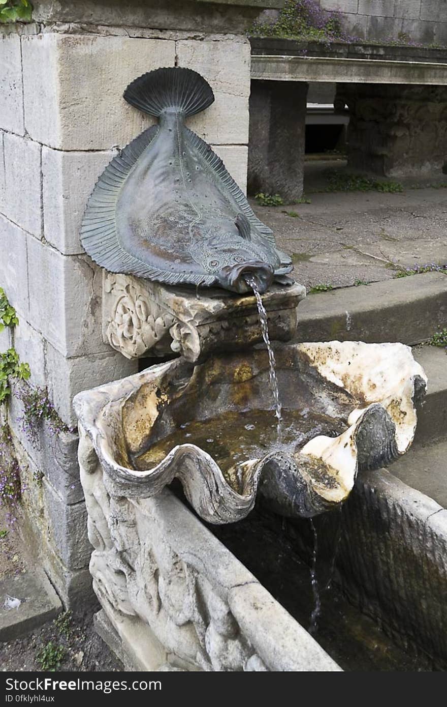 Flat fish fountain pouring water in a shell shaped basin. Flat fish fountain pouring water in a shell shaped basin.