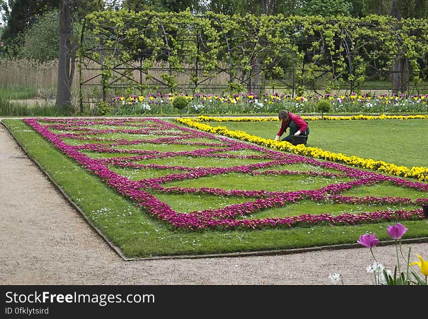 Gardener tending to flowers in innyward of Roman Baths in Sanssouci Park. Gardener tending to flowers in innyward of Roman Baths in Sanssouci Park.