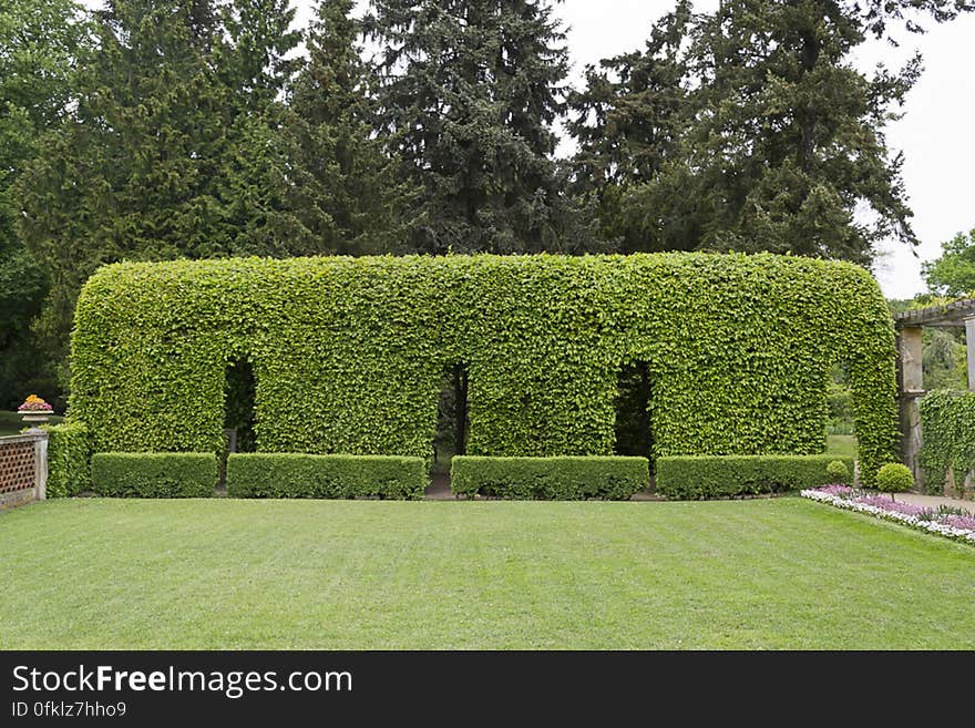 Vegetation carefully arranged in a tunnel shaped form leading to Roman Baths inner garden. Vegetation carefully arranged in a tunnel shaped form leading to Roman Baths inner garden.