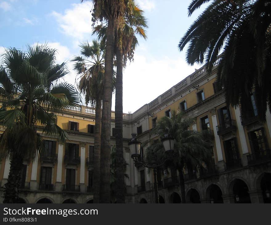 placa-reial-palms