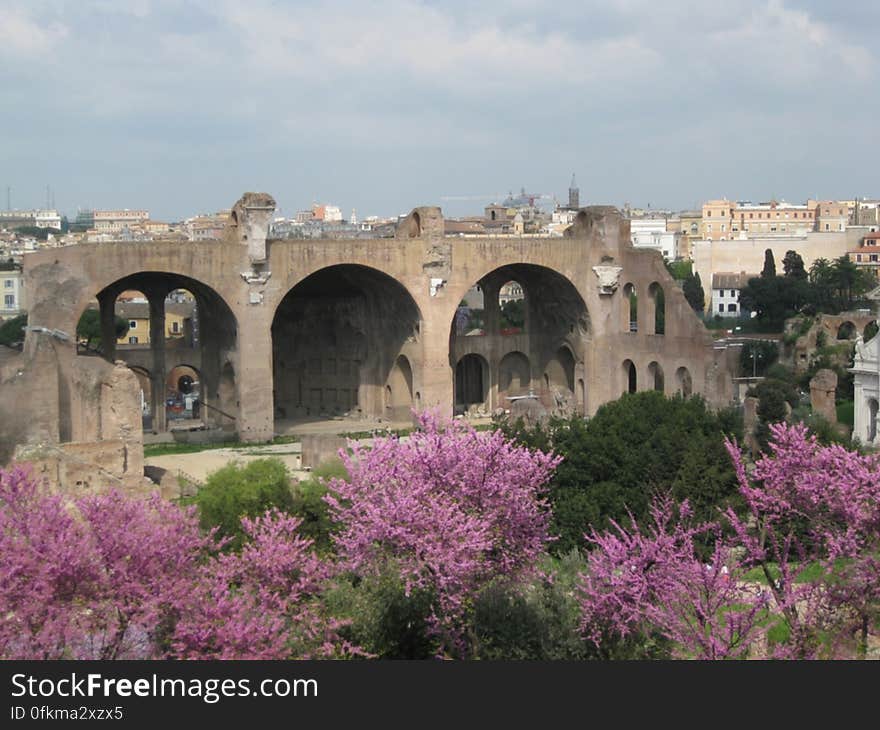 roman-ruins-on-palatine-hill