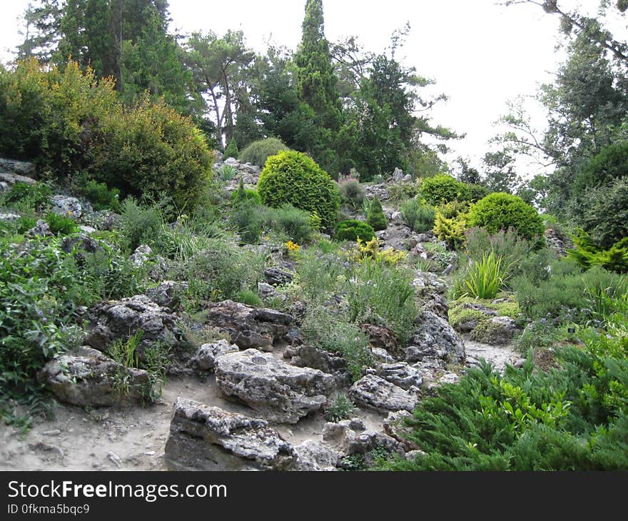 rocky-botanical-garden